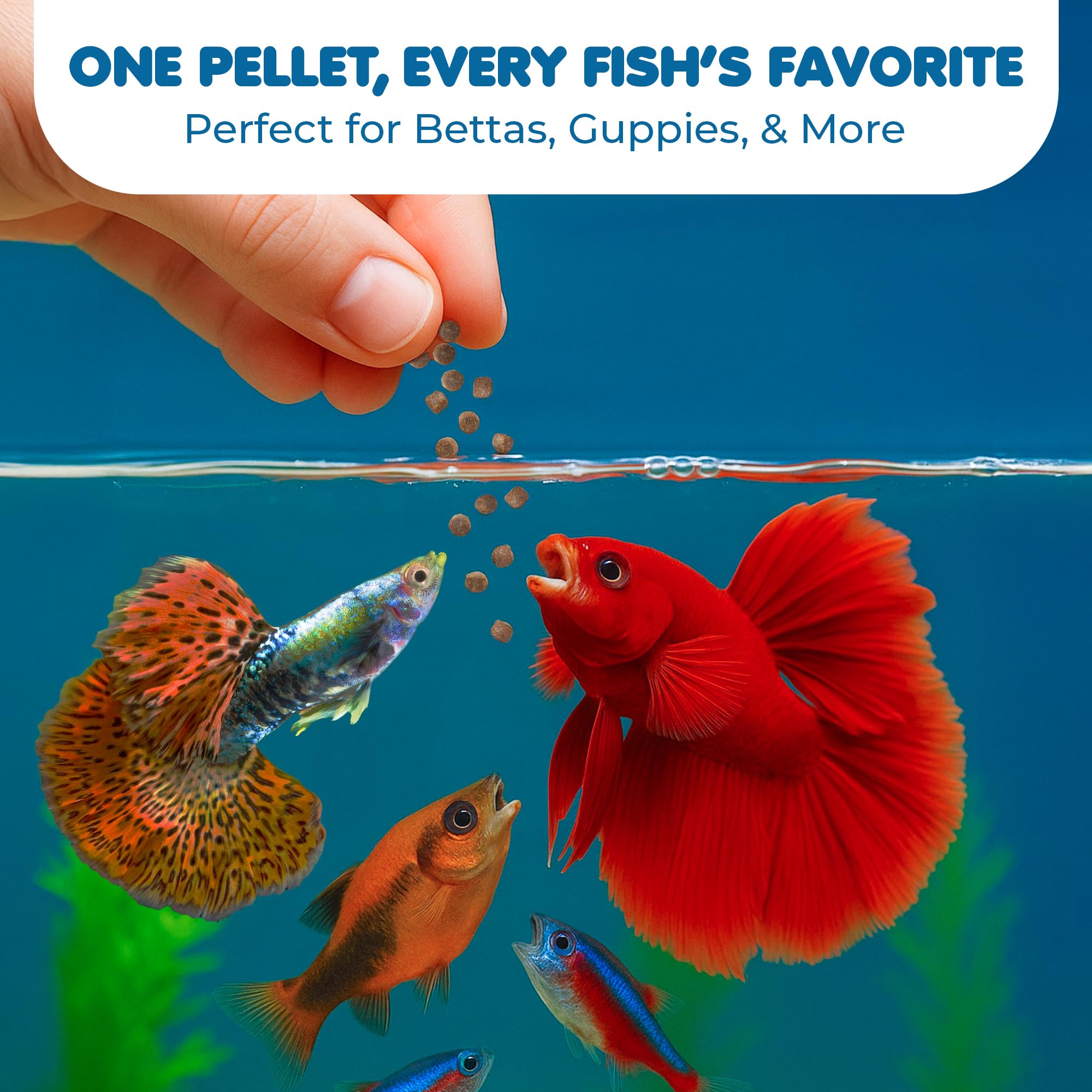 SunGrow Betta Pellets envase con cierre reutilizable para conservar frescura.