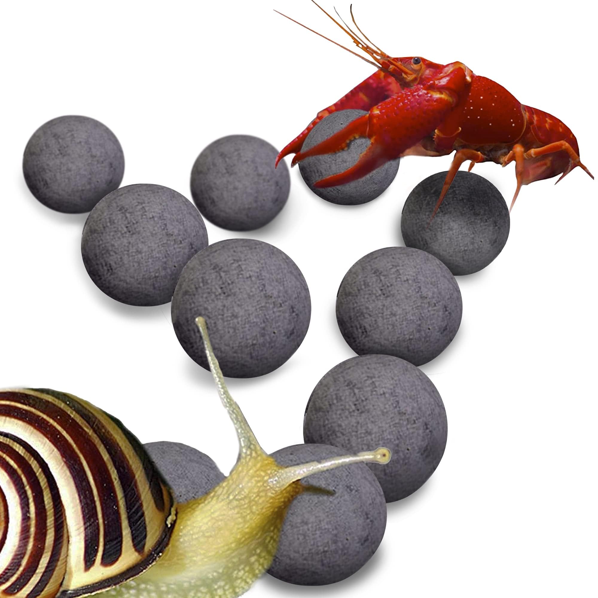 SunGrow bolas energizantes para caracoles y cangrejos: mayor actividad diaria