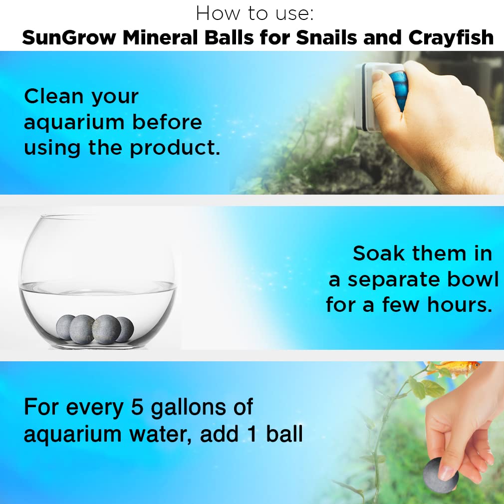 SunGrow bolas fomentan longevidad de invertebrados y vitalidad