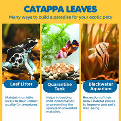SunGrow Catappa hábitat natural para ranas y peces tímidos