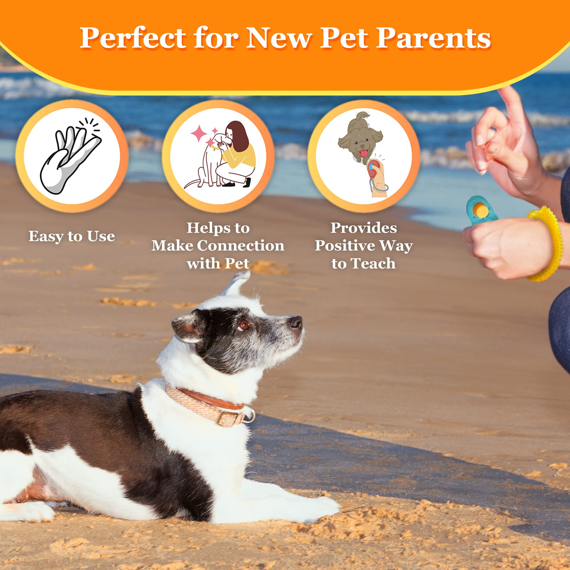 SunGrow clicador en colores brillantes, entrenamiento más atractivo para perros curiosos.
