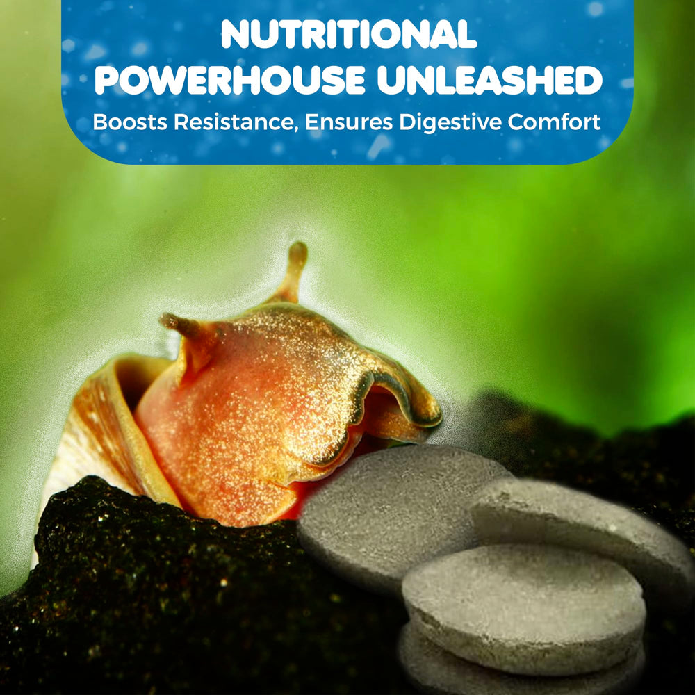 SunGrow desarrollo crustáceos con espirulina, apoyo para etapas tempranas.