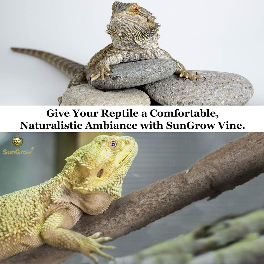 SunGrow diseño 3D para terrario crea paisajes atractivos.