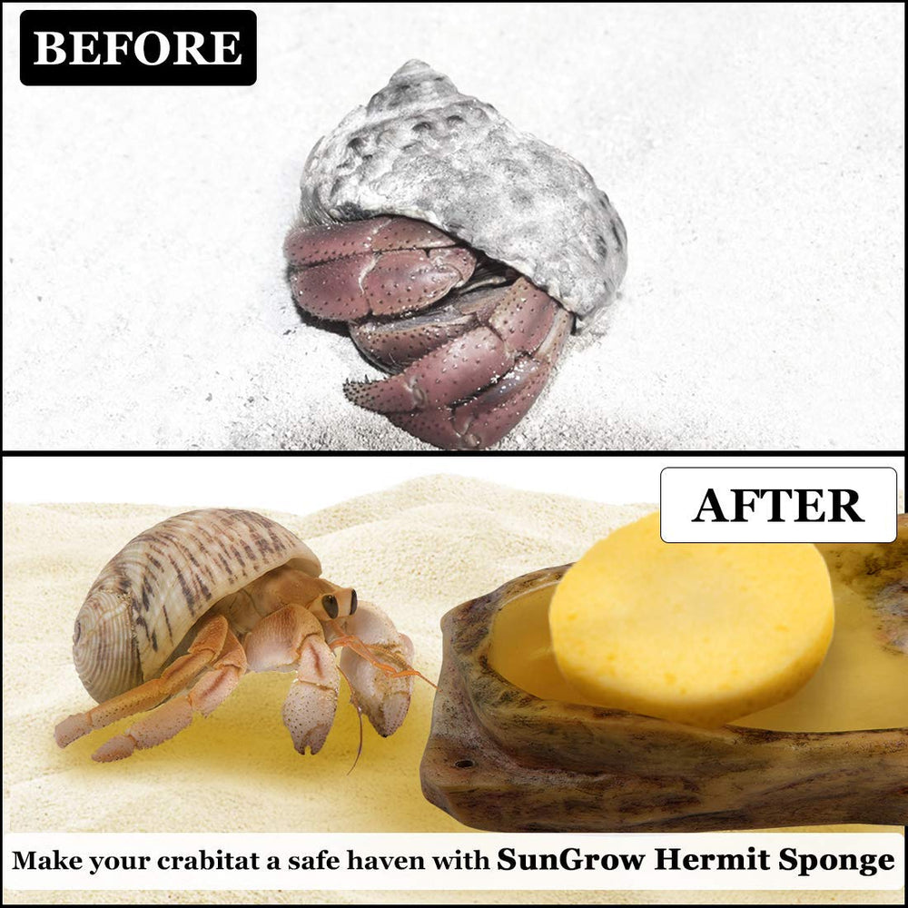 SunGrow esponjas utilizadas como limpieza suave en la cocina.