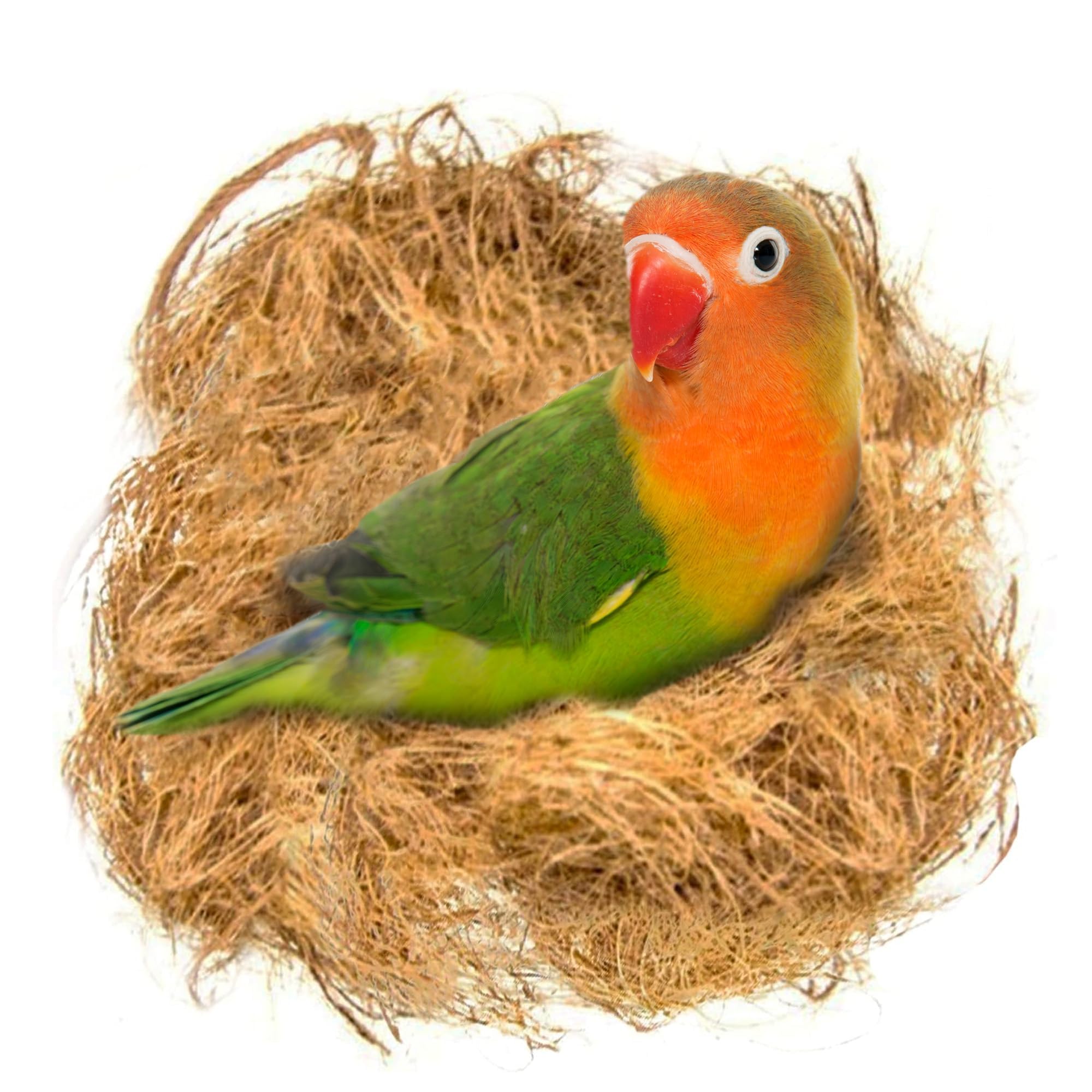 SunGrow fibra de coco para aves en nido, seguro para construir