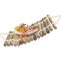 SunGrow gecko puente de bambú de 18 pulgadas para exploración y ejercicio.
