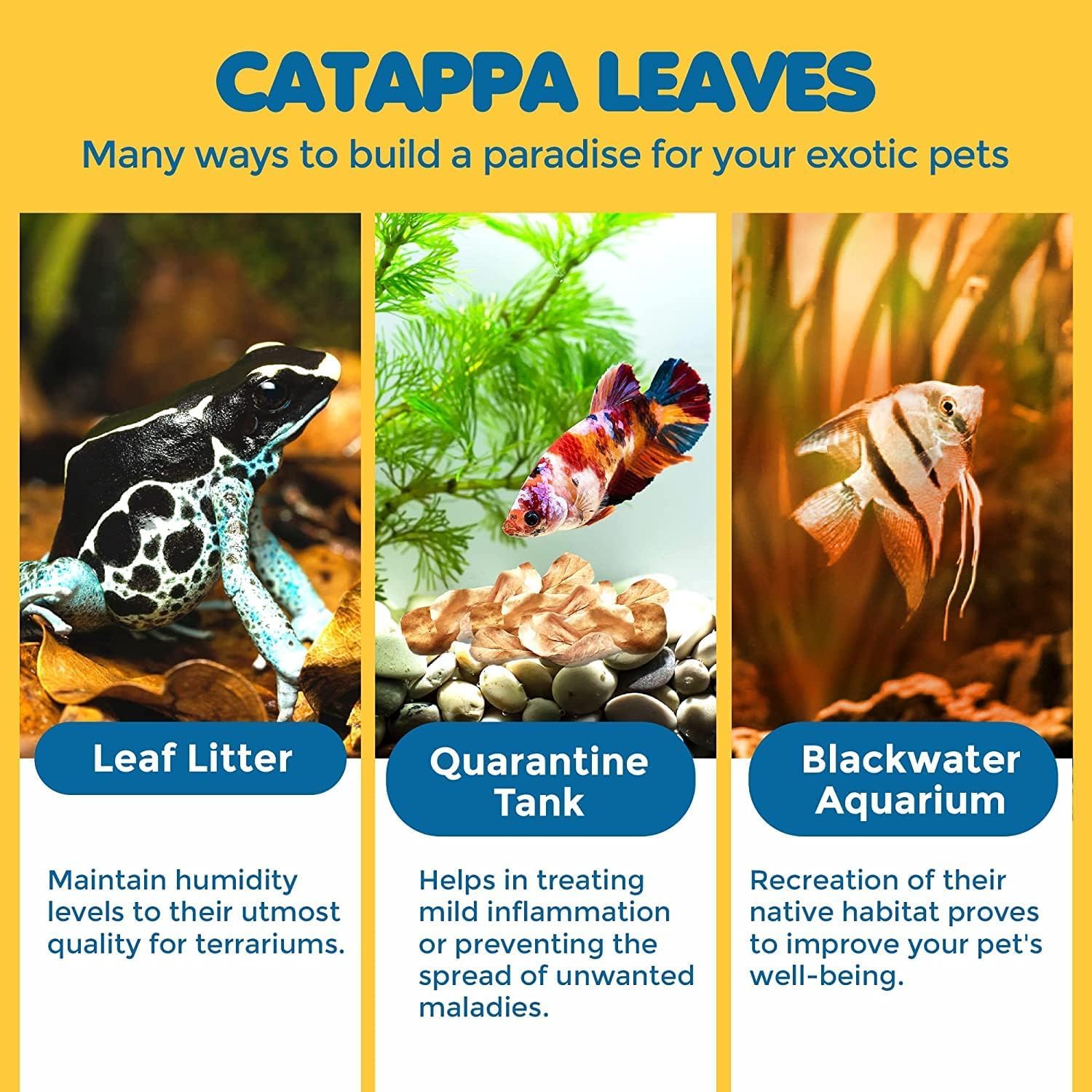 SunGrow Refugio suave para peces y crustáceos con Catappa