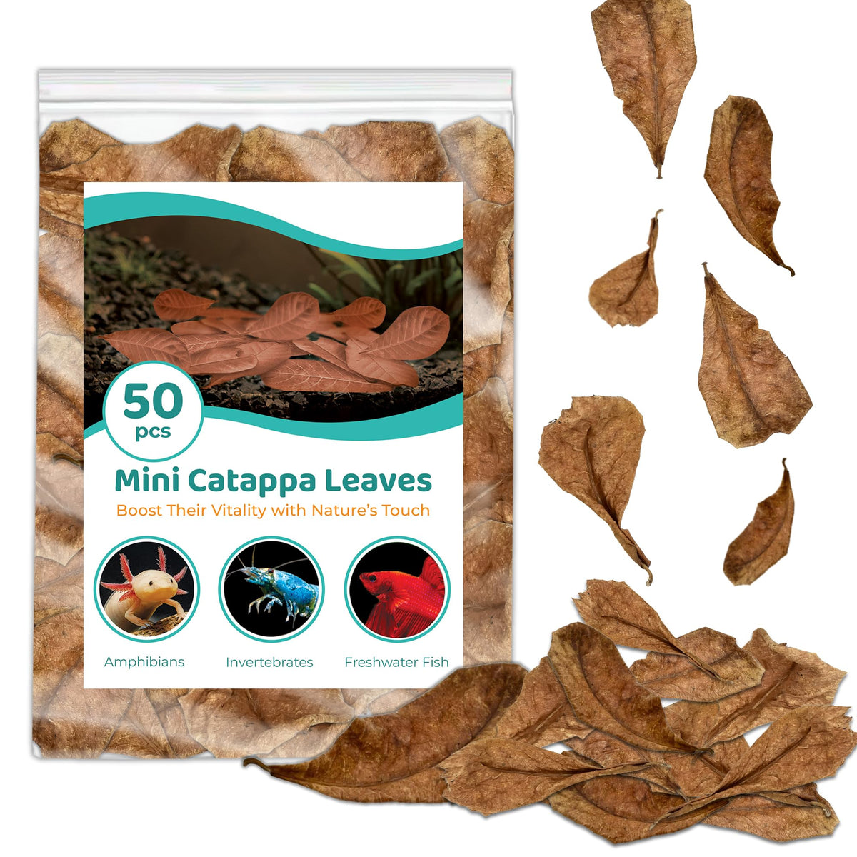 SunGrow hojas Catappa indias detalle: hojas naturales para un acuario más relajante