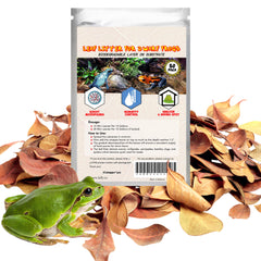 SunGrow Hojas Catappa mini para acuario, 50 unidades listas para sustrato