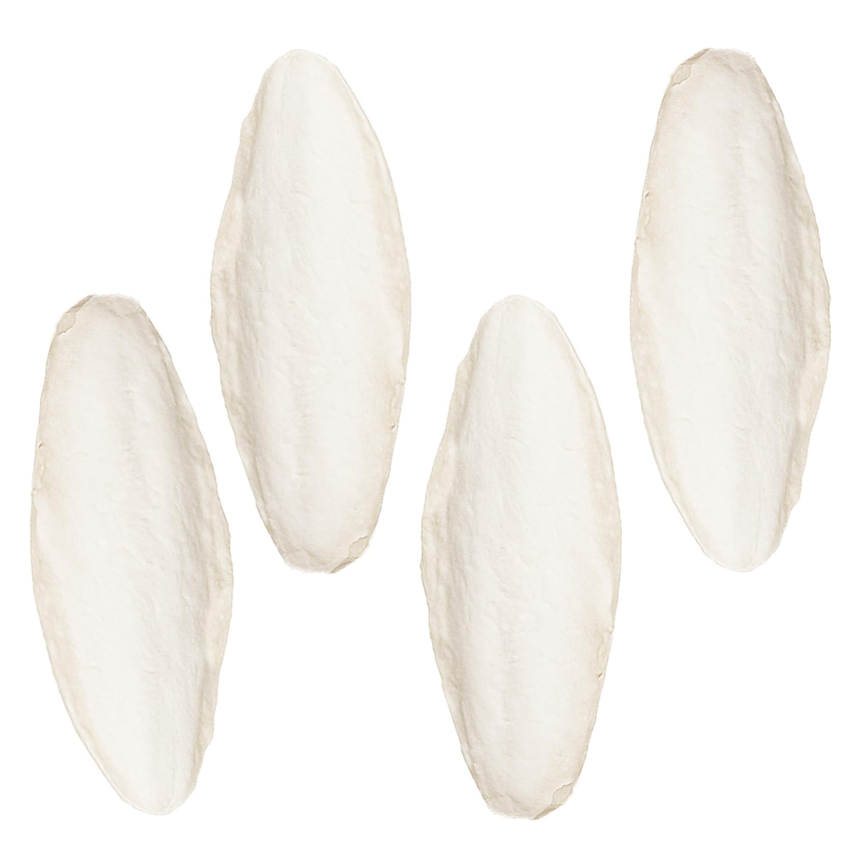 SunGrow hueso de sepia grande 15 cm en jaula mejora la salud ósea de las aves