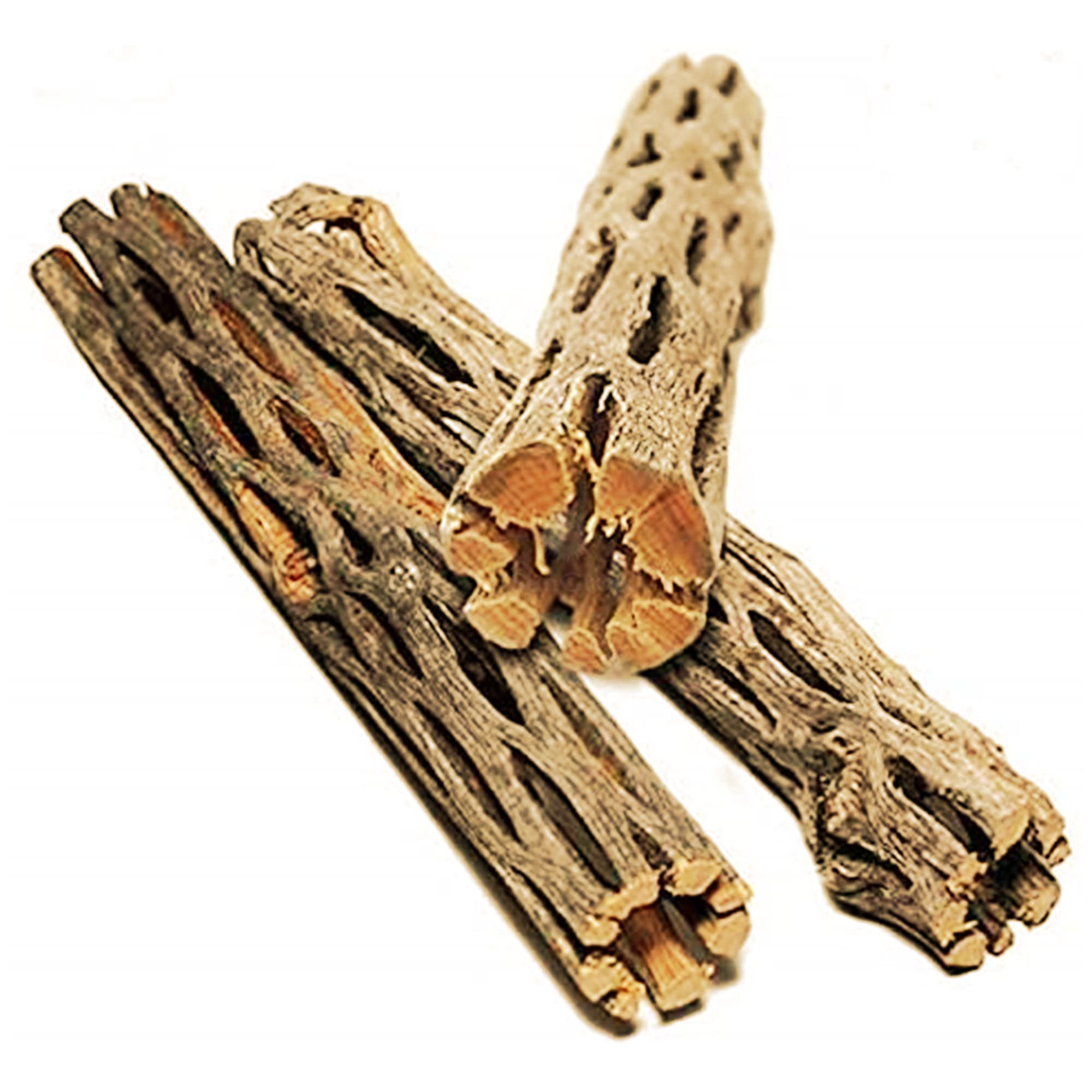 SunGrow Madera cholla para gecko leopardo, 5 pulgadas, superficie para trepar y calor