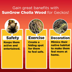 SunGrow Madera cholla gecko leopardo, 5 pulgadas, refugio seguro para reptiles asustadizos