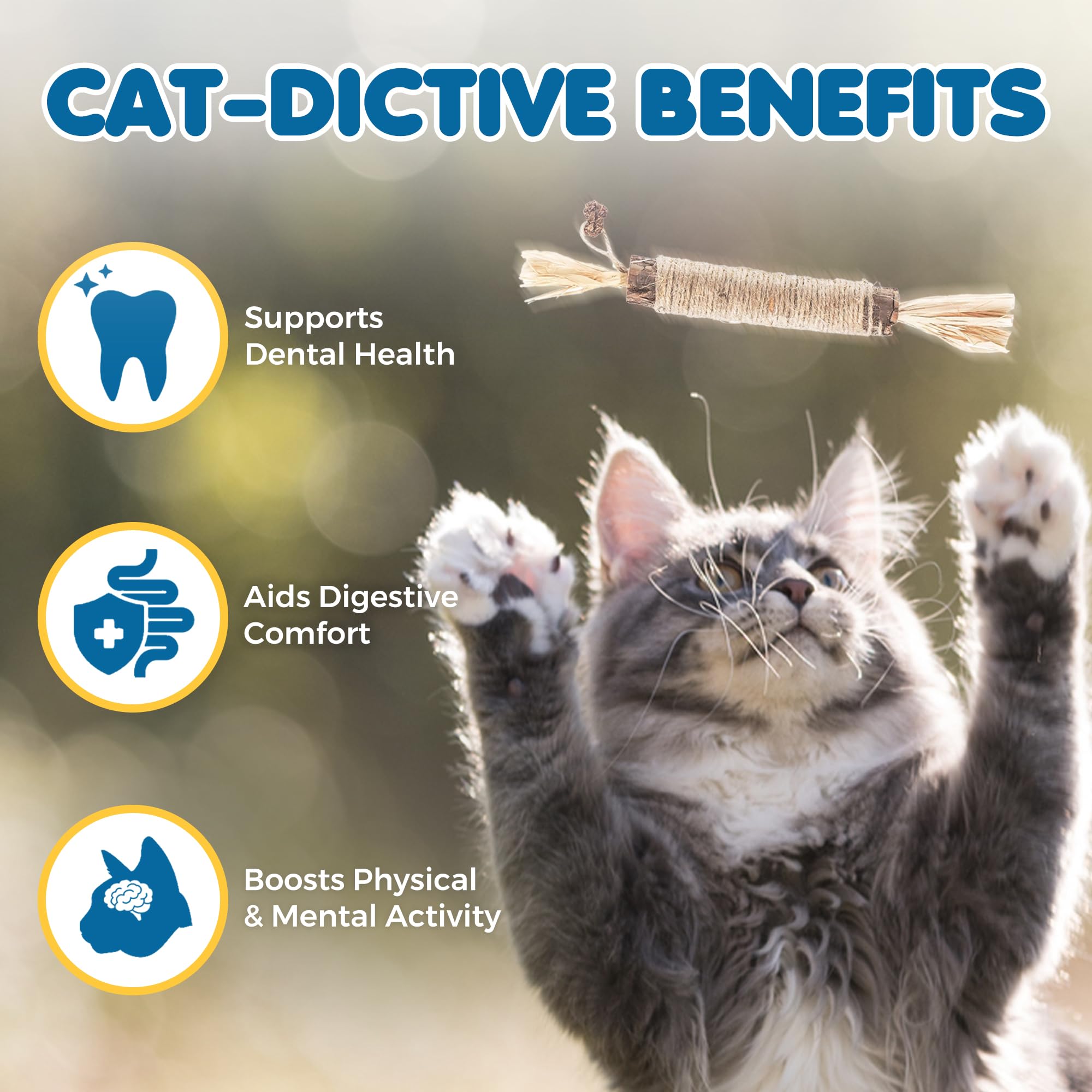 SunGrow merienda dental silvervine para gatitos, fomenta masticación saludable.