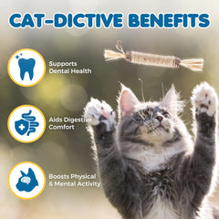 SunGrow merienda dental silvervine para gatitos, fomenta masticación saludable.