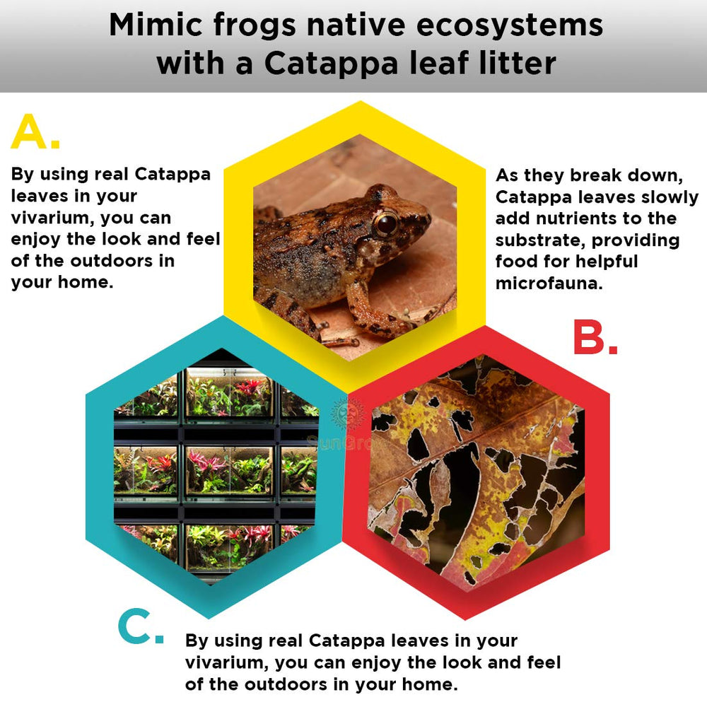 SunGrow microfauna en sustrato, favoreciendo ranas y fuente de alimento.