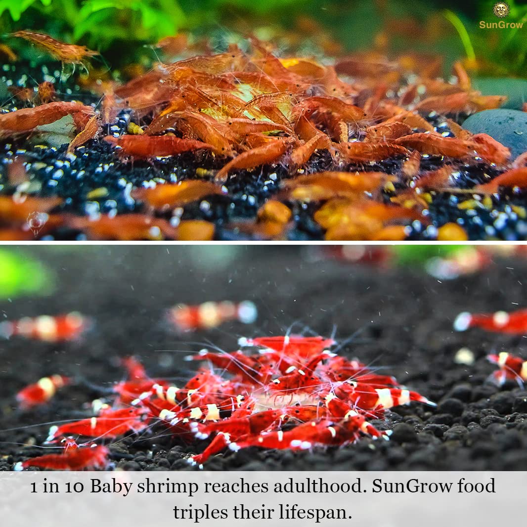 SunGrow no nubla el acuario al alimentar gambas