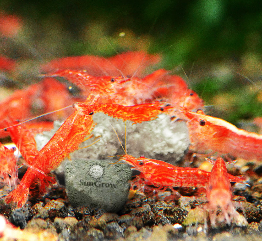 Paquete SunGrow de rocas, compacto y ideal para acuarios pequeños.