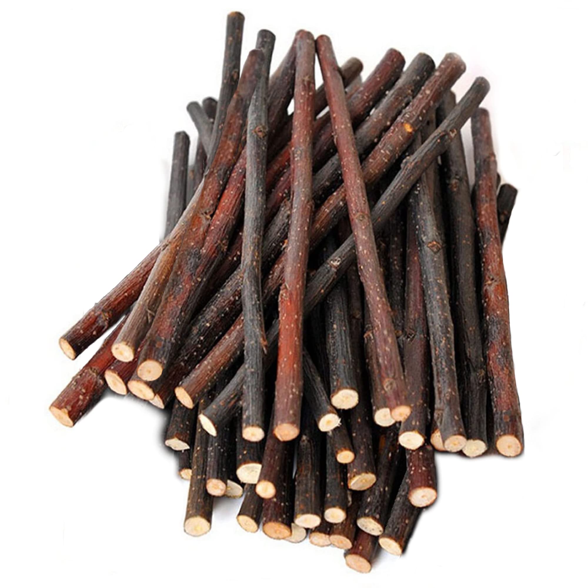 SunGrow Palos de manzana para conejos: masticación natural y entretenimiento.