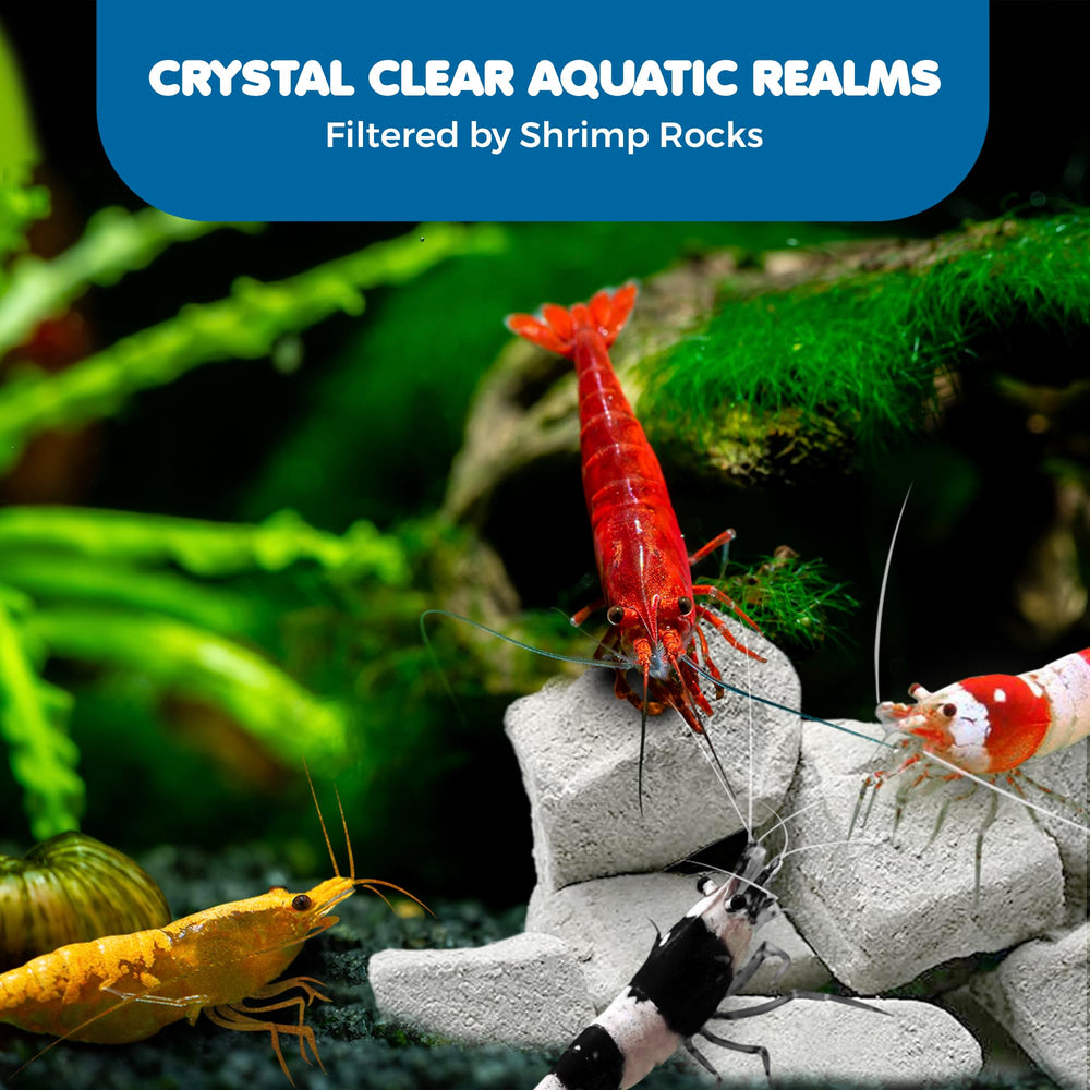 SunGrow paquet de 4 onces de roches, solution compacte pour nano-aquariums.