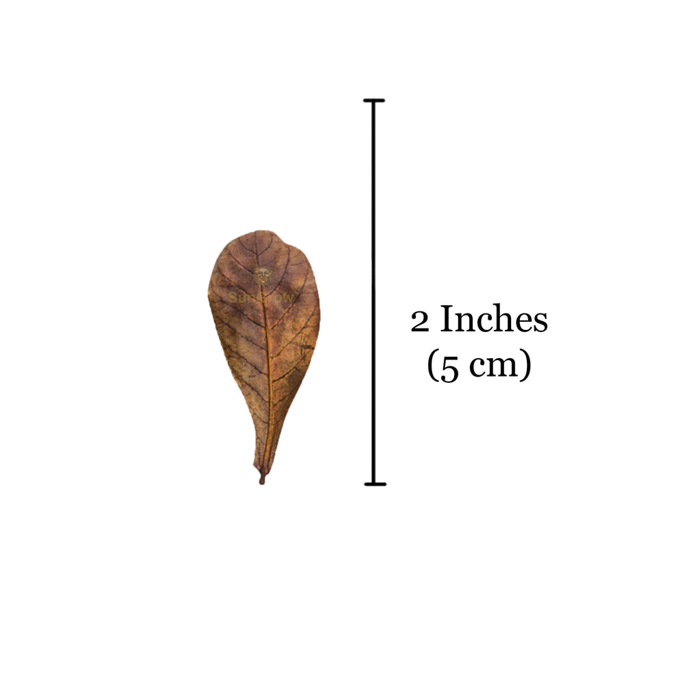 Detalle de embalaje de hojas SunGrow para Betta