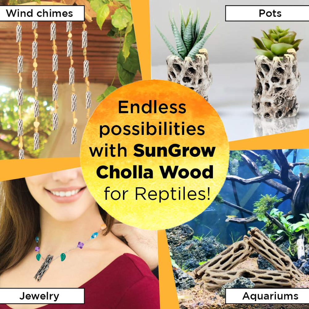 SunGrow Set de 3 piezas cholla, superficies para trepar y refugio para dragones barbudos