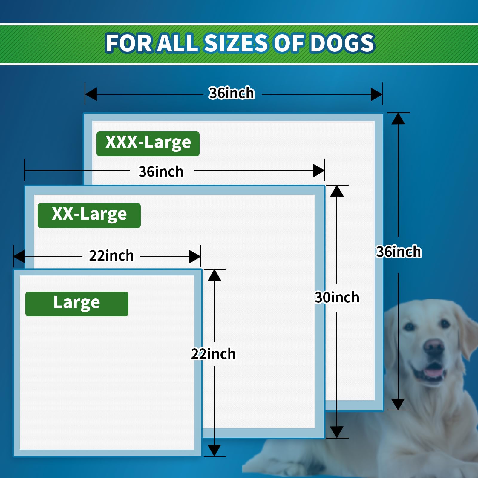 Sunny Doggy paquete de 40 unidades 36x36 para entrenamiento diario