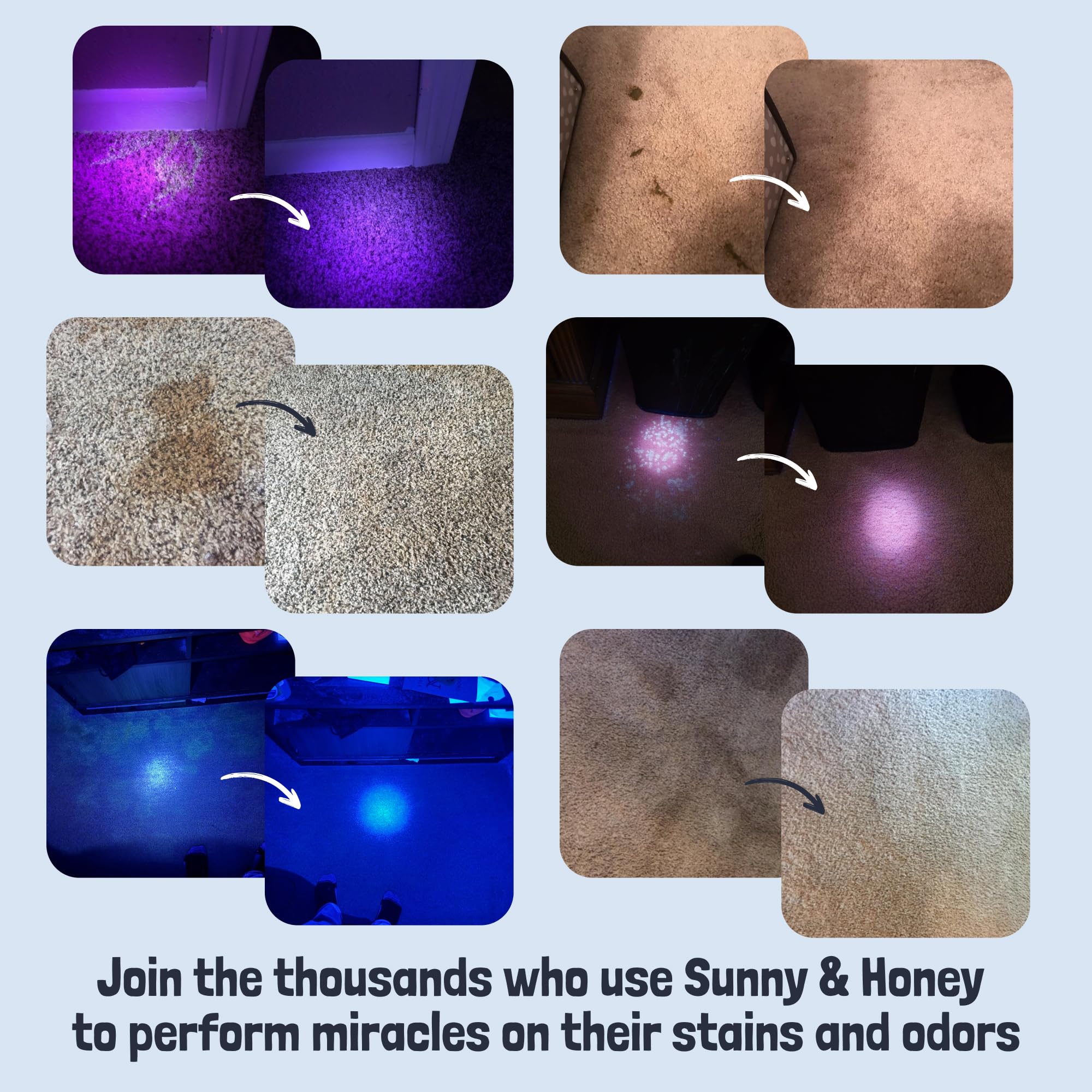 Sunny & Honey etiqueta de producto en español, limpiador enzimático para manchas de mascotas.