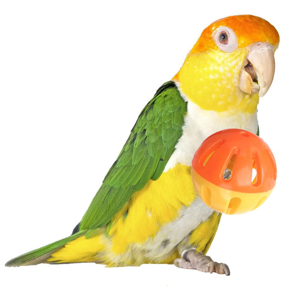 Super Bird Creations Birdie Balls, bola de dos pulgadas para aves, ideal para juego