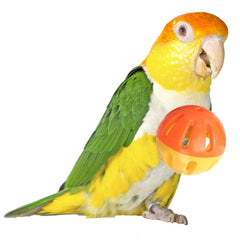 Super Bird Creations Birdie Balls, bola de dos pulgadas para aves, ideal para juego