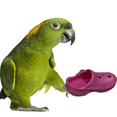 Super Bird Creations Crocs Bird Toy para aves medianas, promueve juego y forraje.