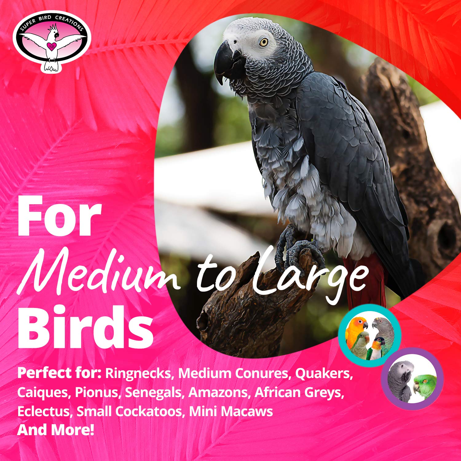 SB751 PVC Forager, estímulo de forraje para aves activas