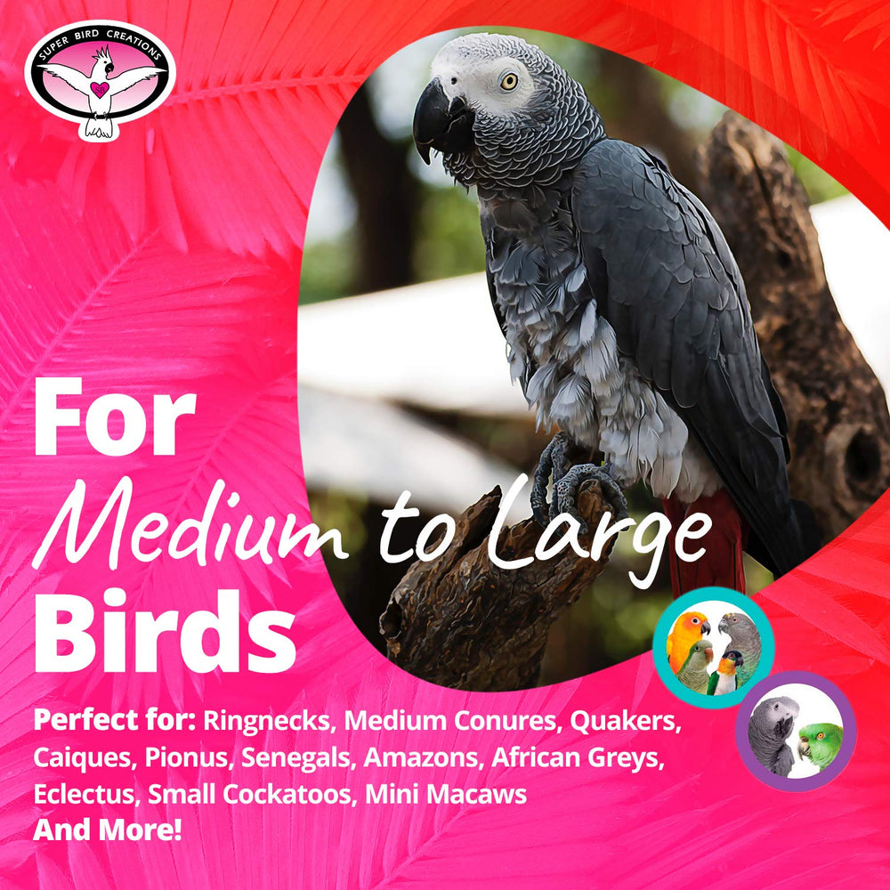 SB751 PVC Forager, estímulo de forraje para aves activas