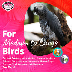 SB751 PVC Forager, estímulo de forraje para aves activas