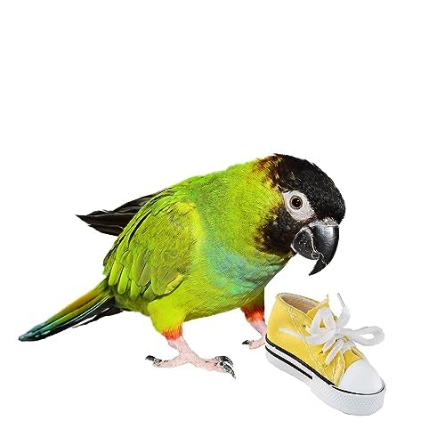 Sneakers en colores vibrantes de Super Bird Creations, fomentan curiosidad y exploración seguras.