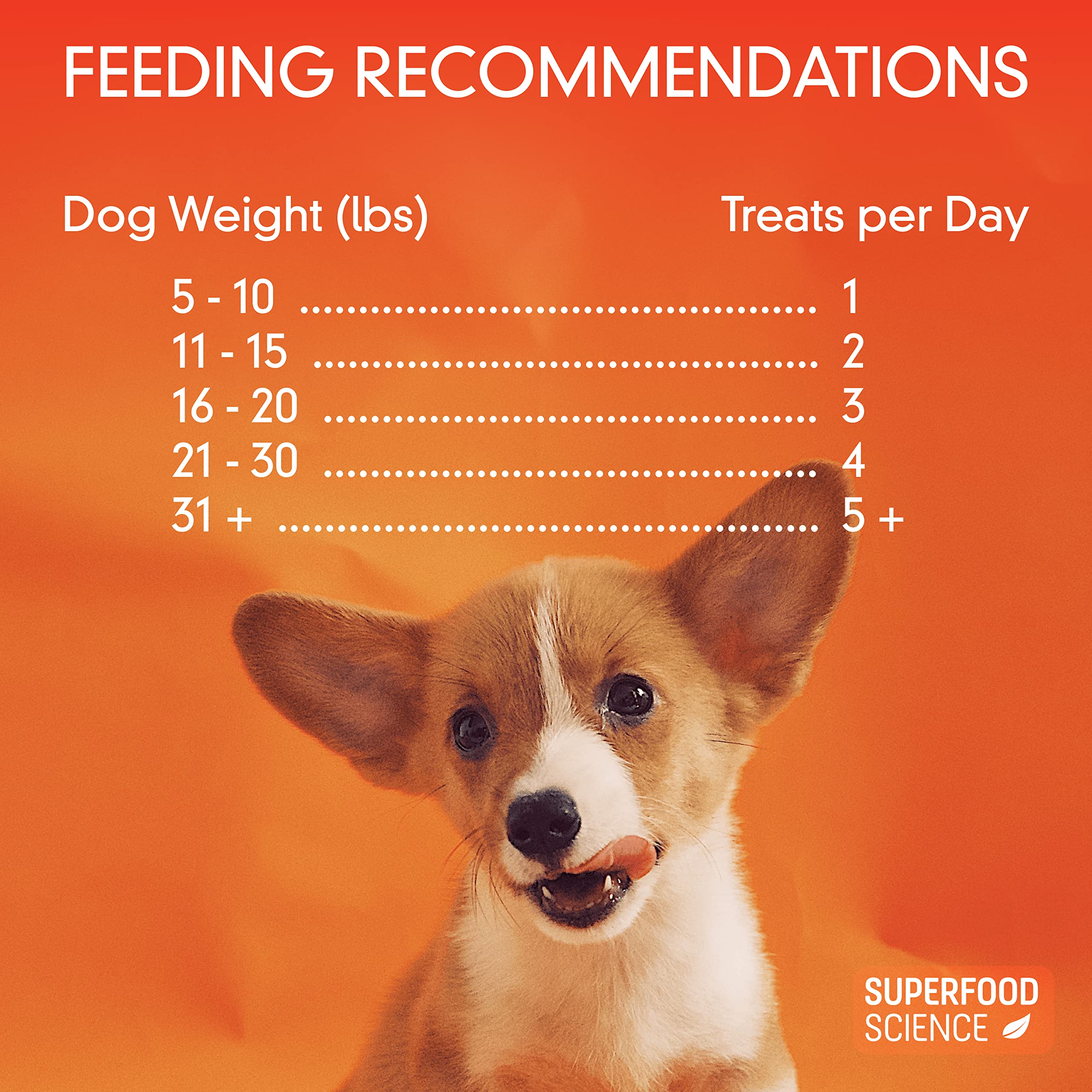 Masticables para varios tamaños de perros y uso diario