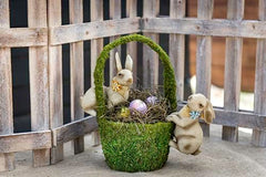 SuperMoss Aspen Wood Excelsior relleno decorativo para plantas de interior y manualidades.