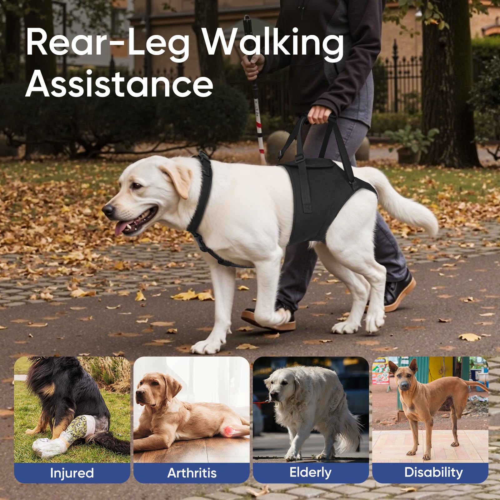 Supet Arnés ideal para rehabilitación y postoperatorio canino.