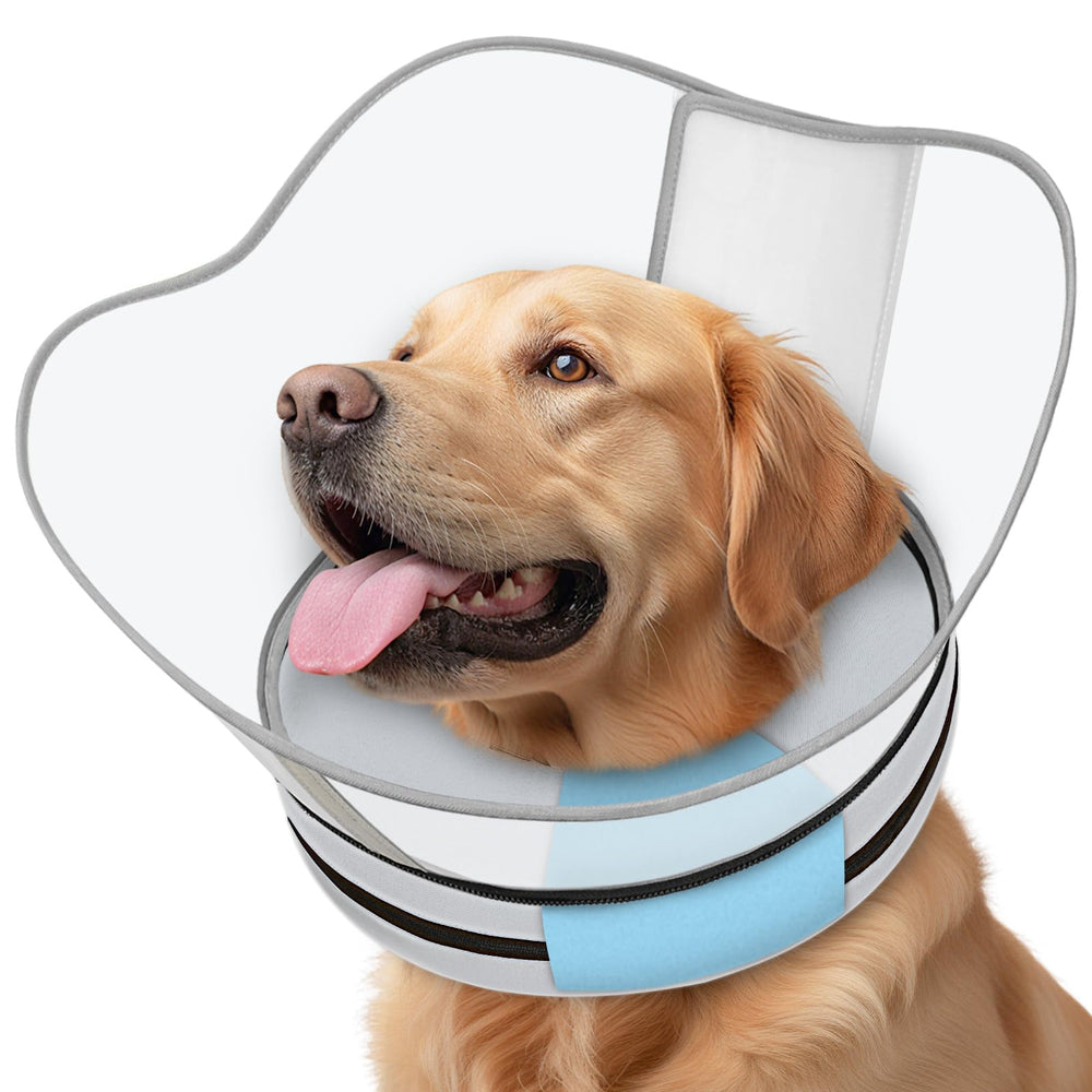 Supet collar alzado esponja-perro: confort suave para reposo y movilidad.