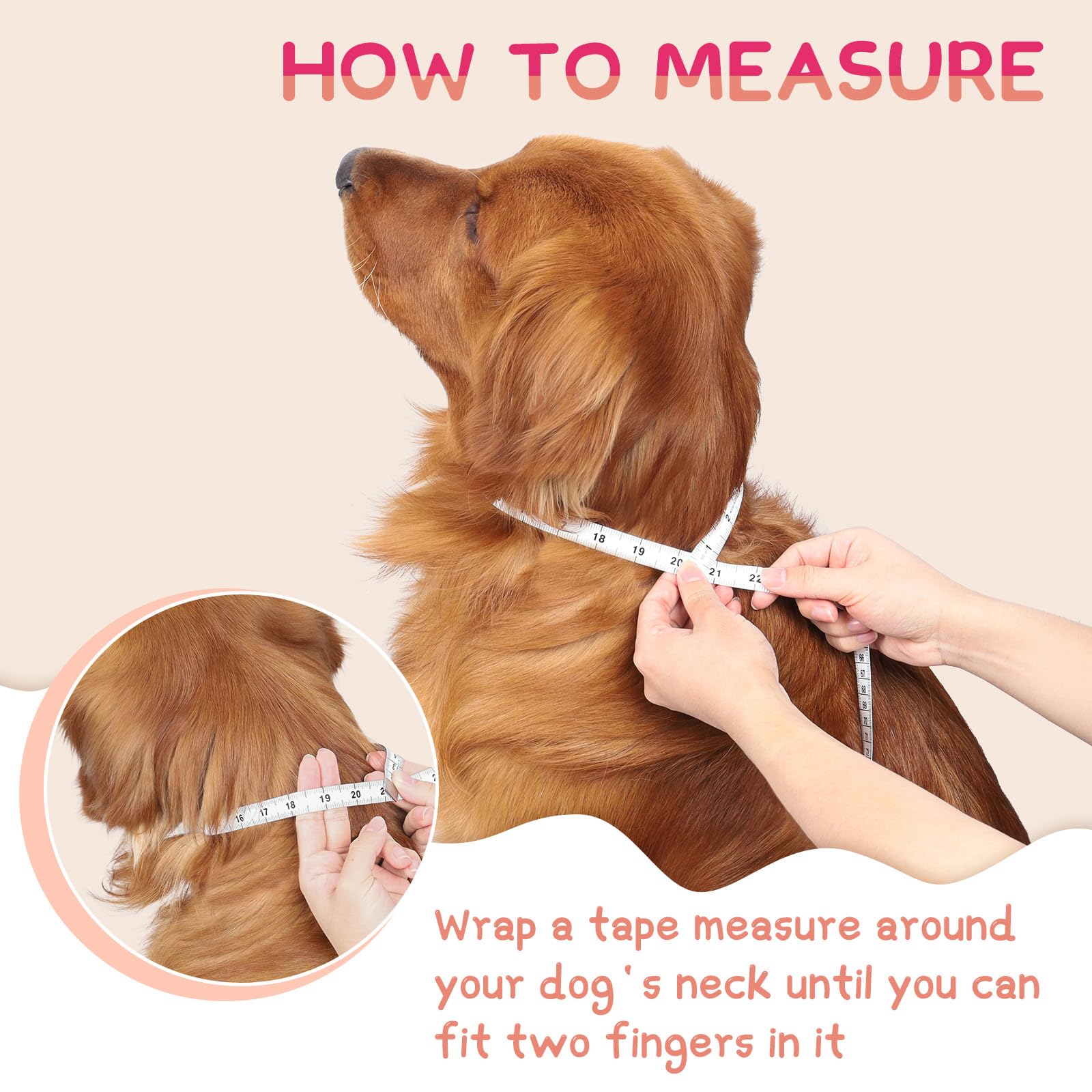Supet collar cono inflable en uso, permite visión y movilidad durante la recuperación.