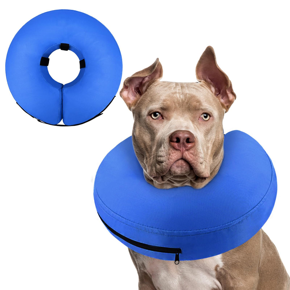 Supet collar inflable donut para perro descansando tras cirugía, protección de la zona operada.