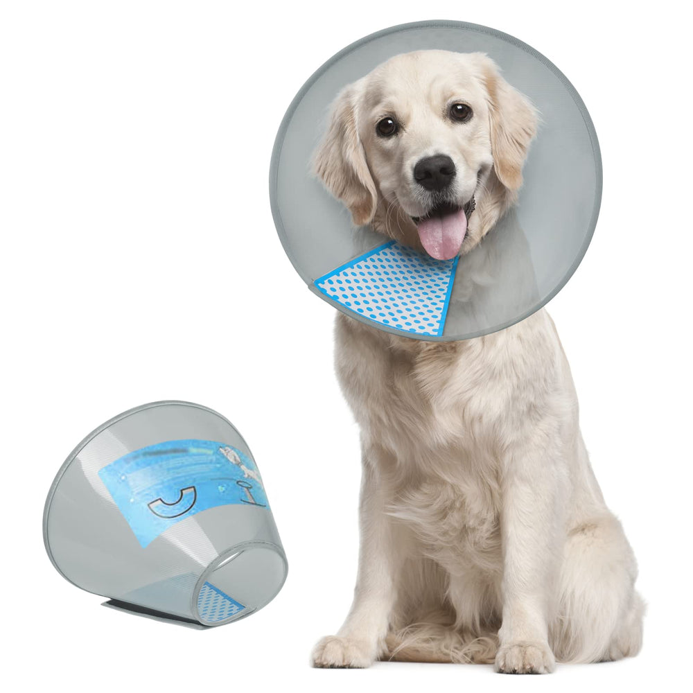 Cono Supet ajustable para perro en uso diario y recuperación.
