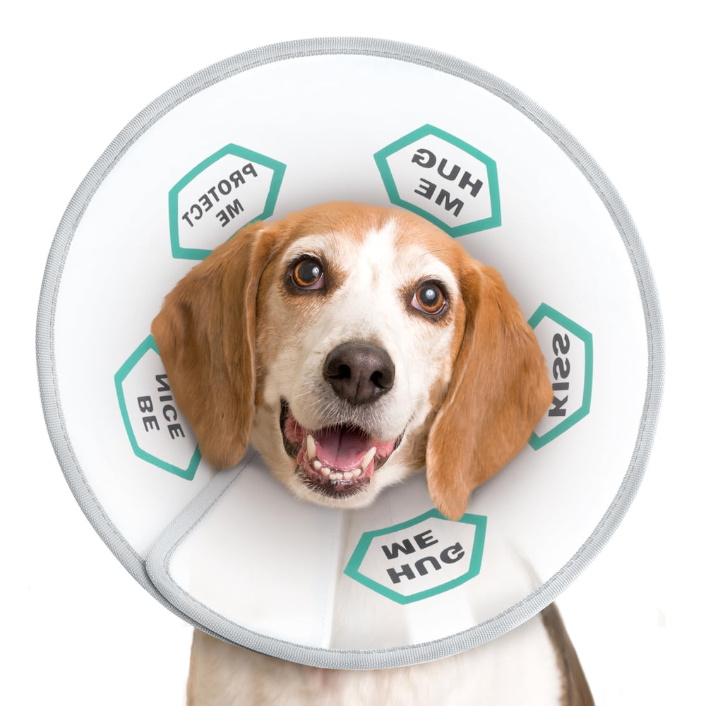 Cono de recuperación Supet para perro facilita descanso y evita lamidos.