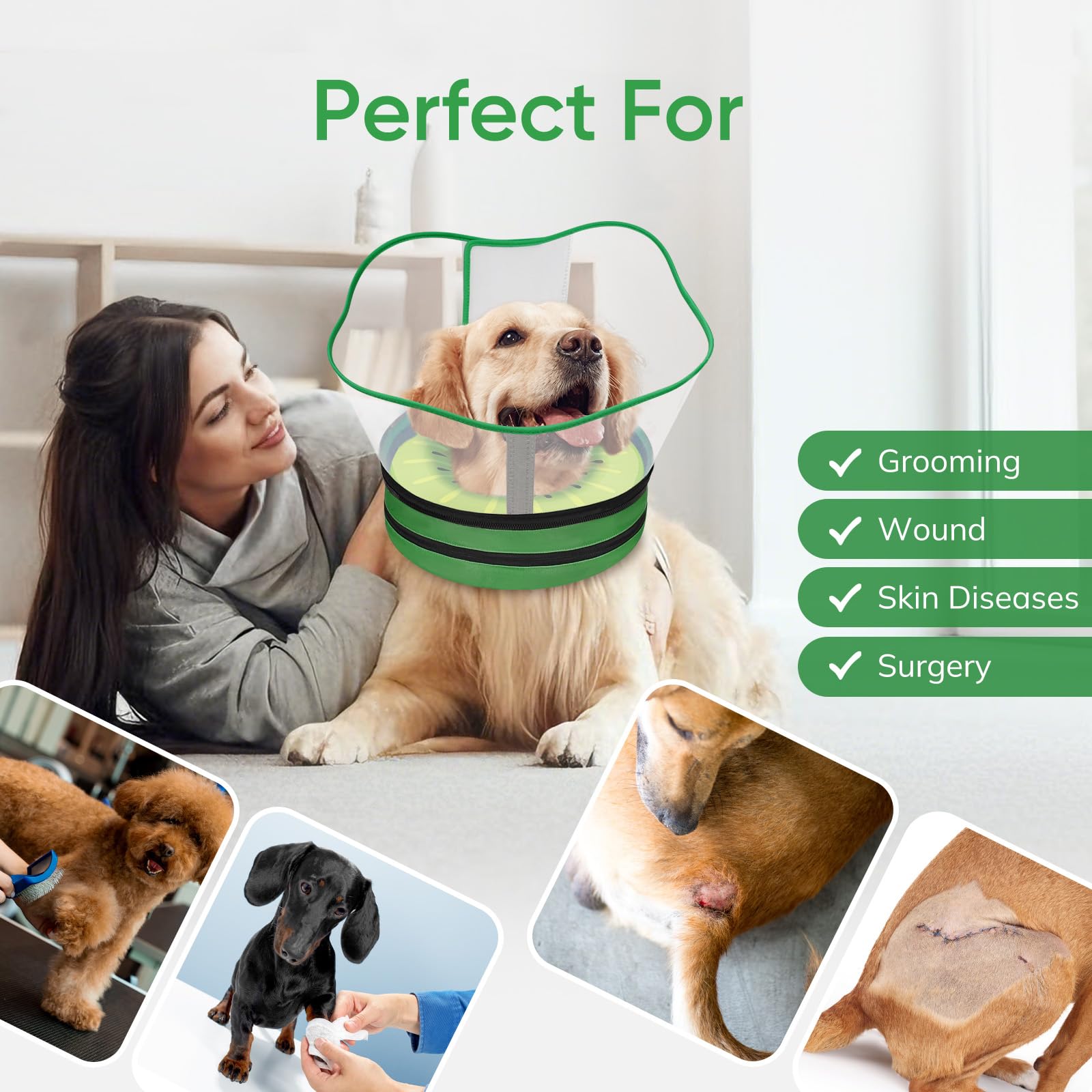 Supet diseño alegre apoya la recuperación del perro.