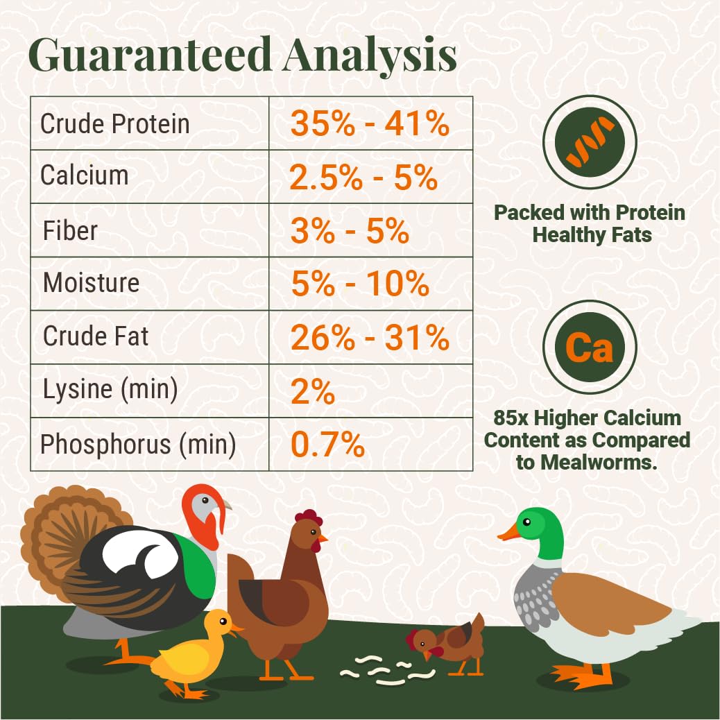 Supreme Grubs: plumas más brillantes gracias a la proteína de las larvas.