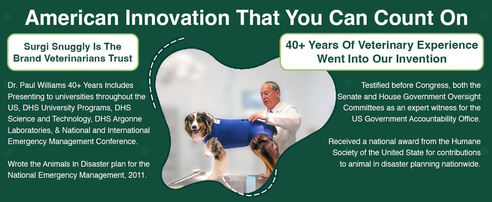SurgiSnuggly: diseño veterinario para recuperación ordenada y tranquila.