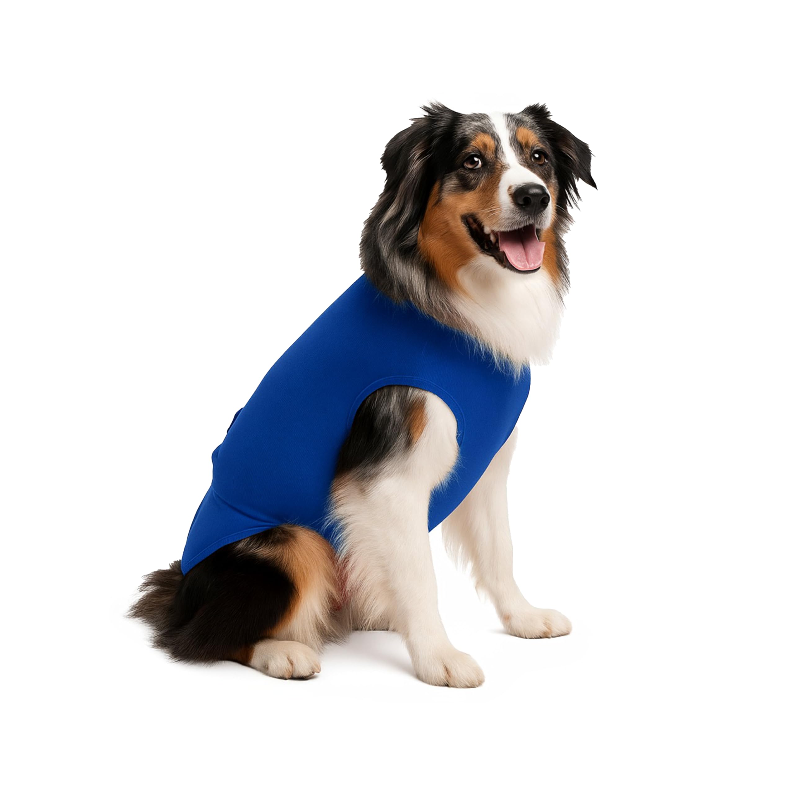 SurgiSnuggly: uso diario seguro y cómodo para pañales de perro XL azul
