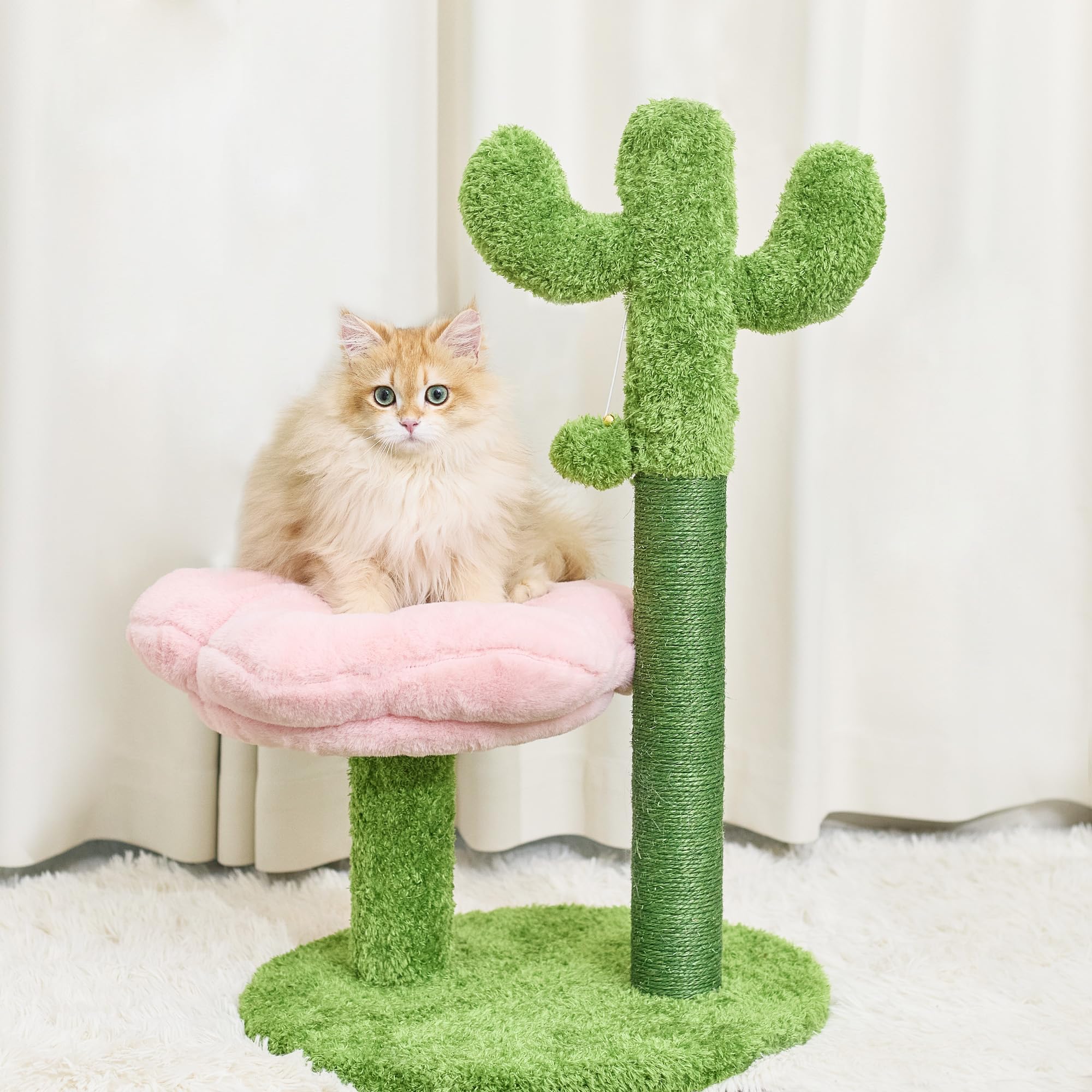 Suudroeen poste rasca-gato cactus: afila uñas y decora tu espacio.