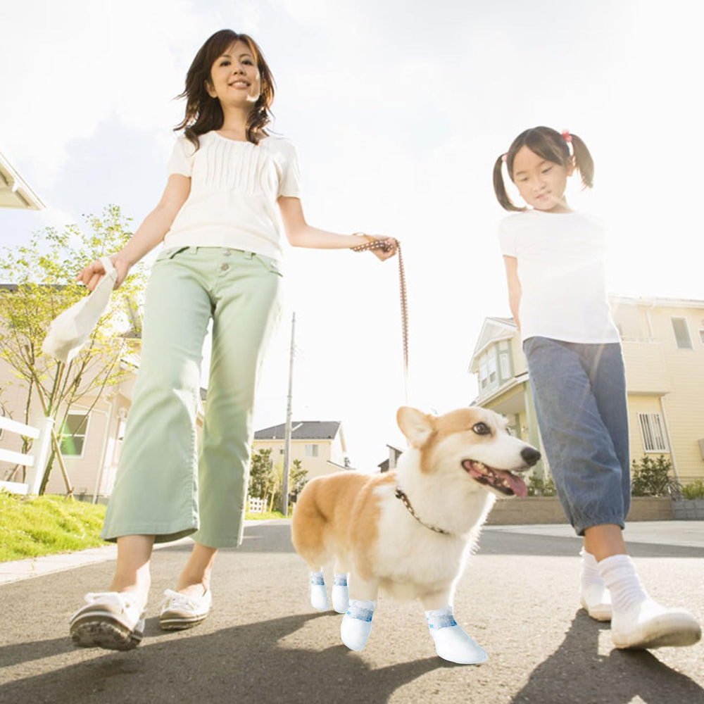 Botas Suxgumoe para patitas: higiene y comodidad durante paseos.