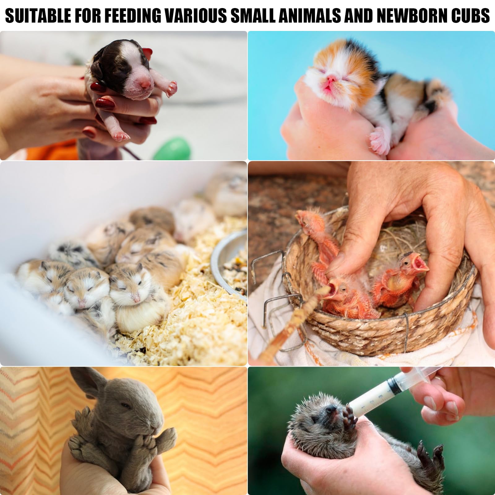 Tubos de alimentación variados Suxgumoe para diferentes aves.