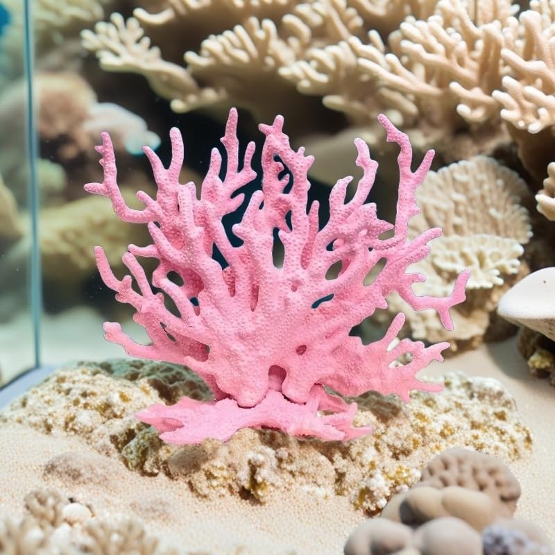 SwandTanpand corales decorativos rosa, ideal para acuarios de agua salada.